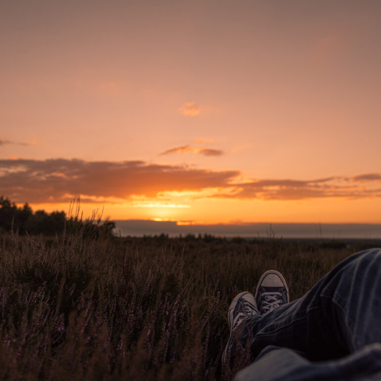 Sonnenuntergang in der Lüneburger Heide